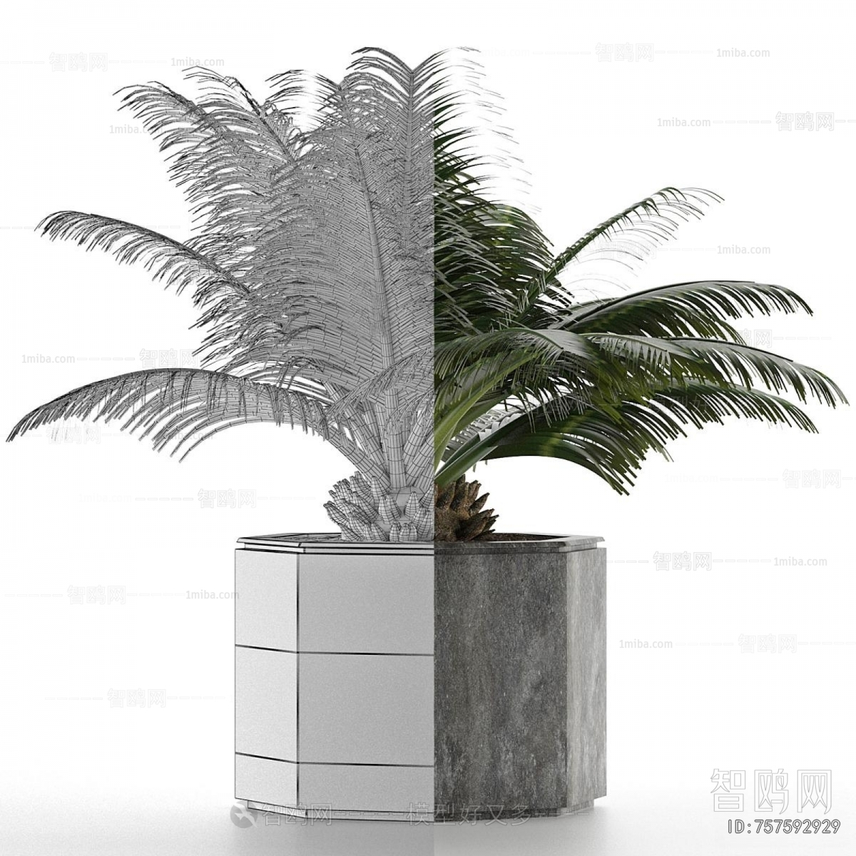 Modern Potted Green Plant