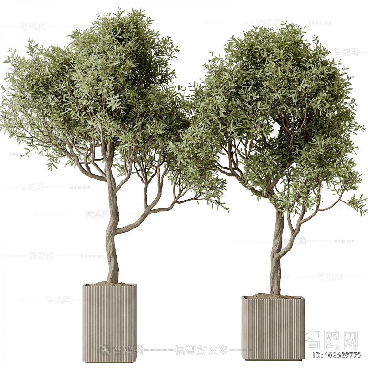 Modern Ground Green Plant Potted Plants