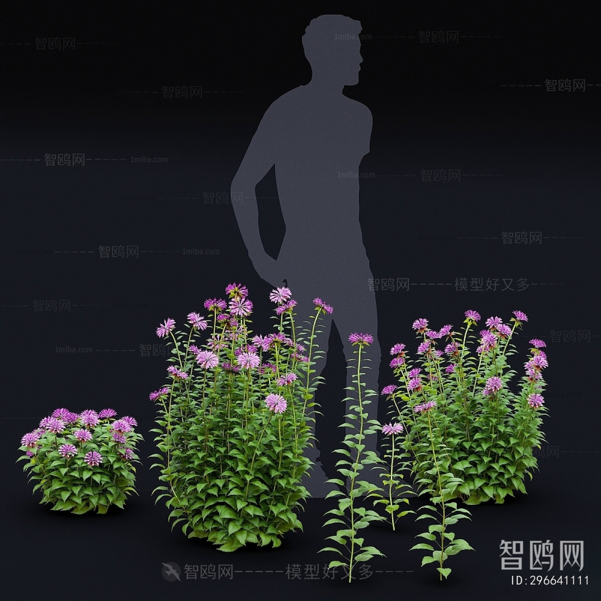 Modern Flowers And Grass