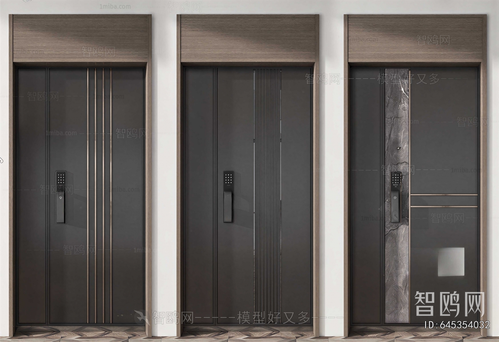 Modern Entrance Door