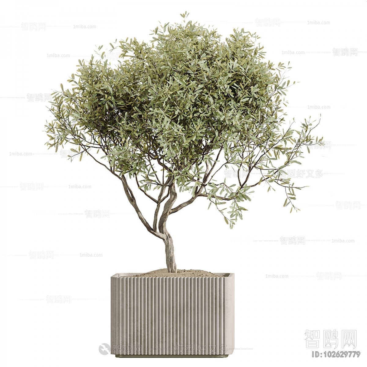 Modern Ground Green Plant Potted Plants