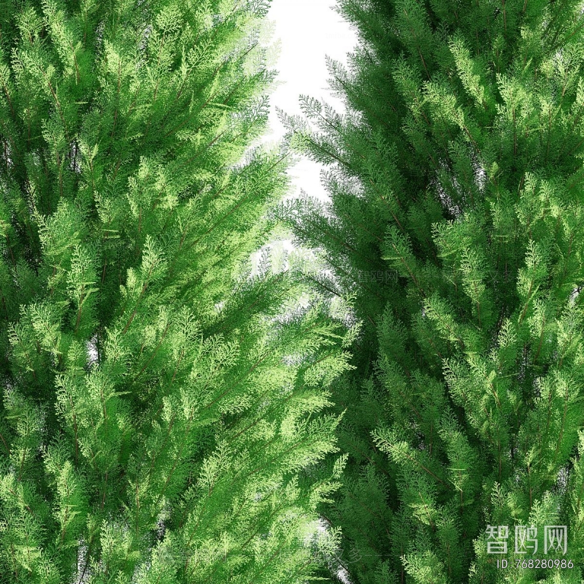 Modern Tree