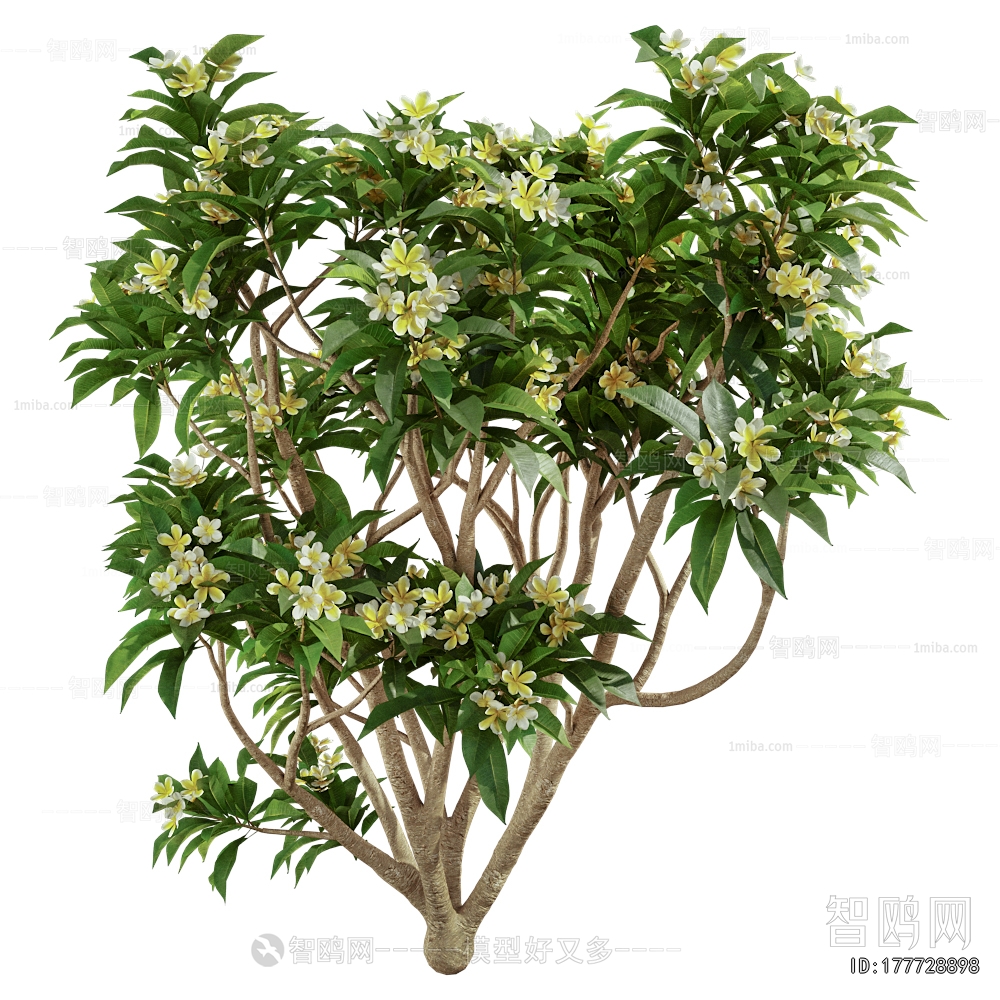 Modern Shrubbery