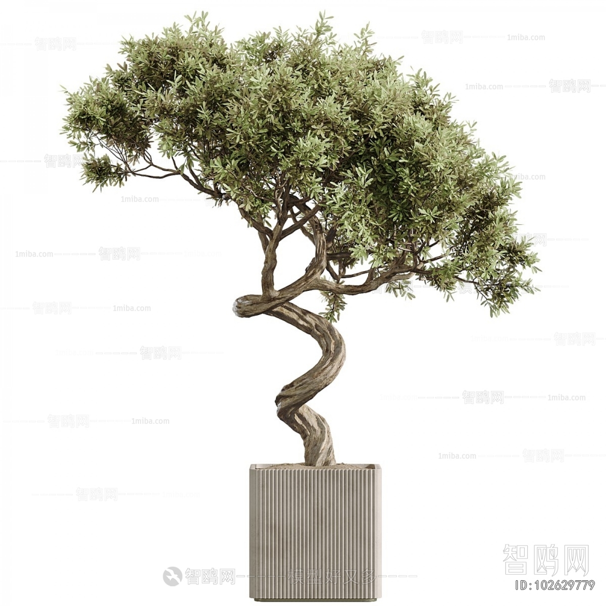 Modern Ground Green Plant Potted Plants