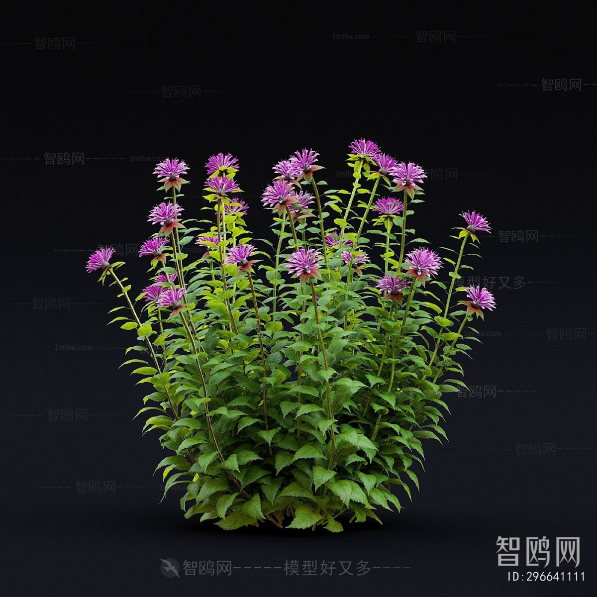 Modern Flowers And Grass