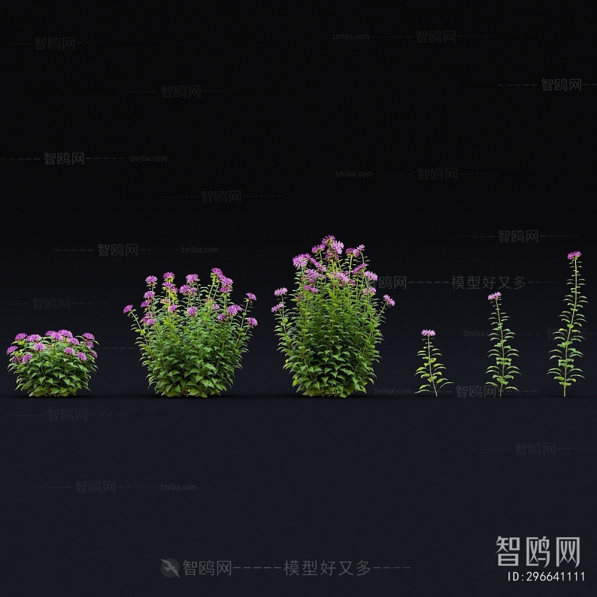 Modern Flowers And Grass