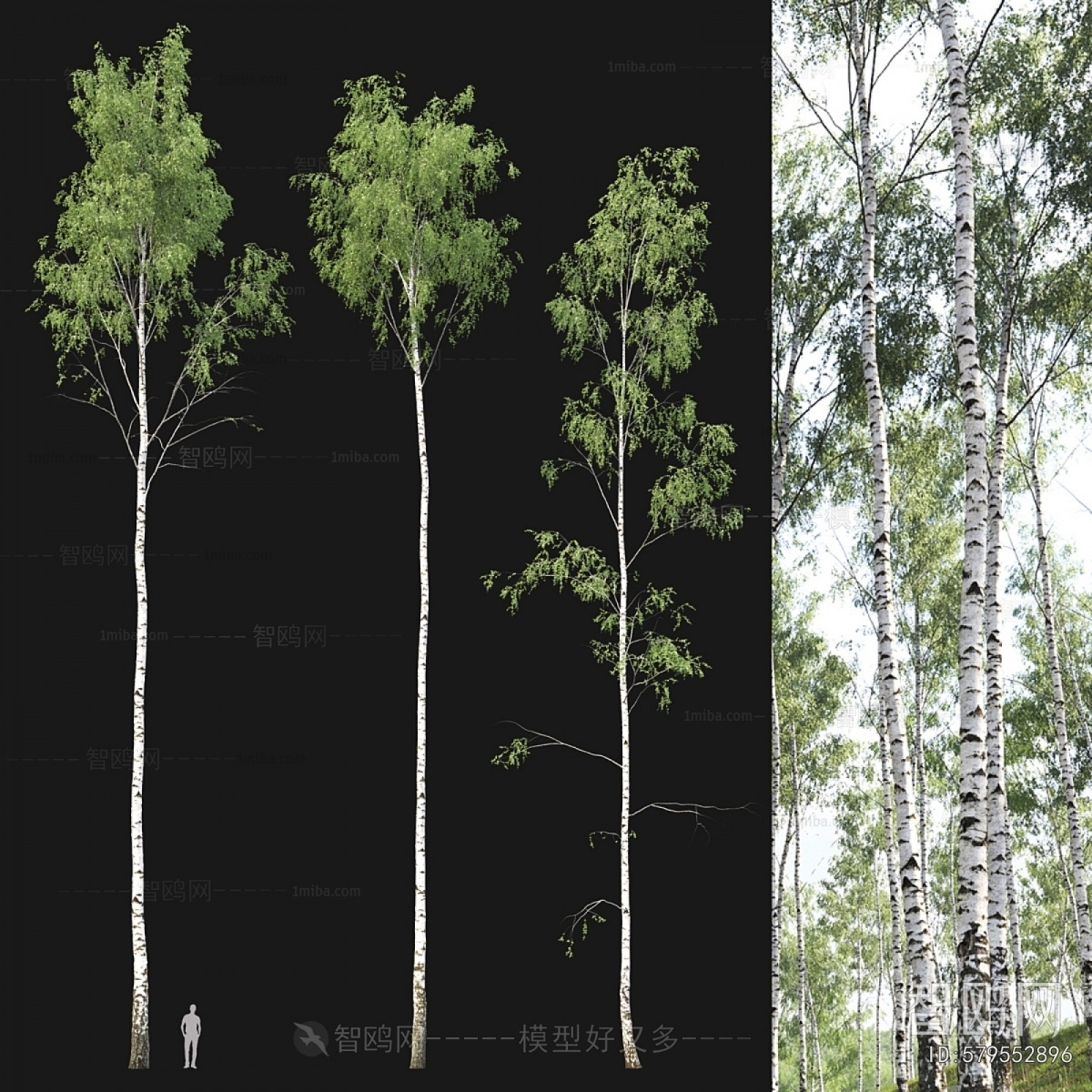 Modern Tree