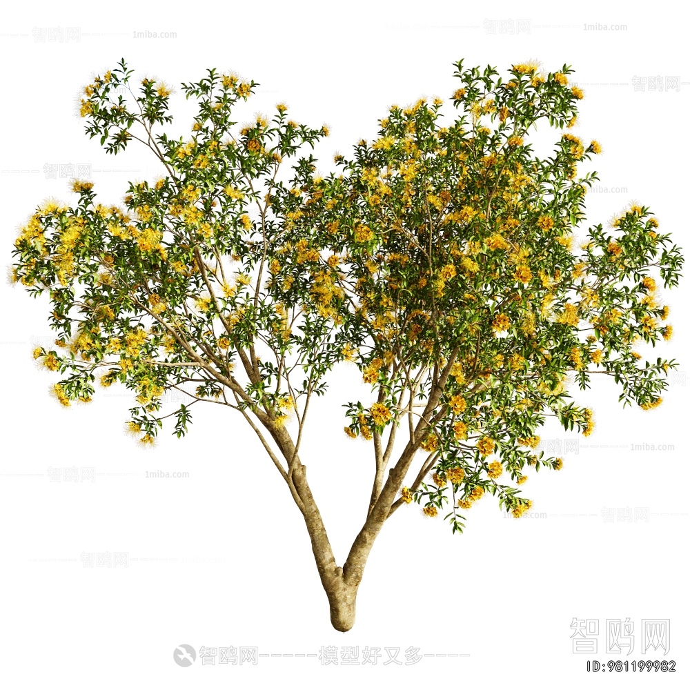 Modern Tree