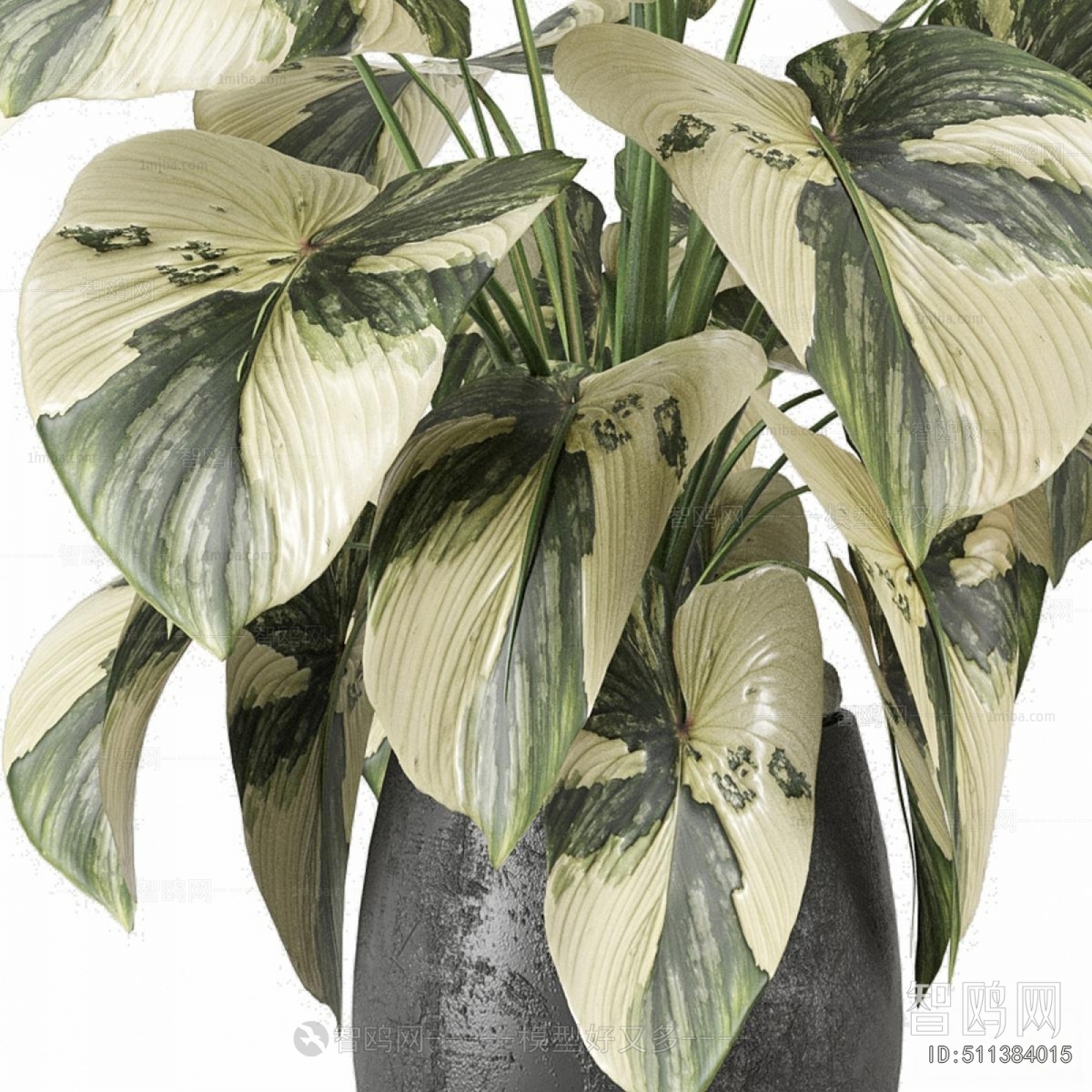 Modern Ground Green Plant Potted Plants