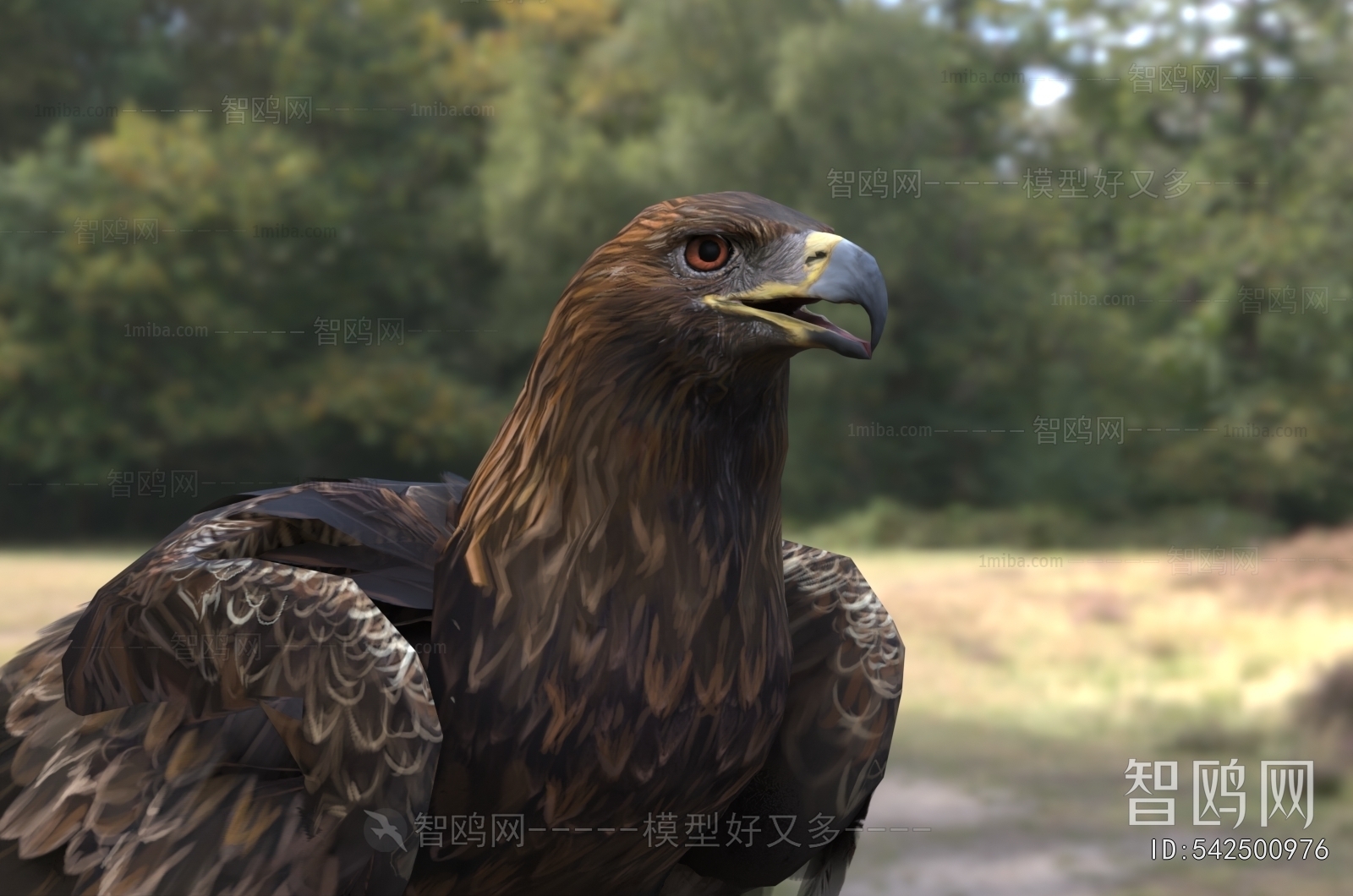 Modern Flying Animals