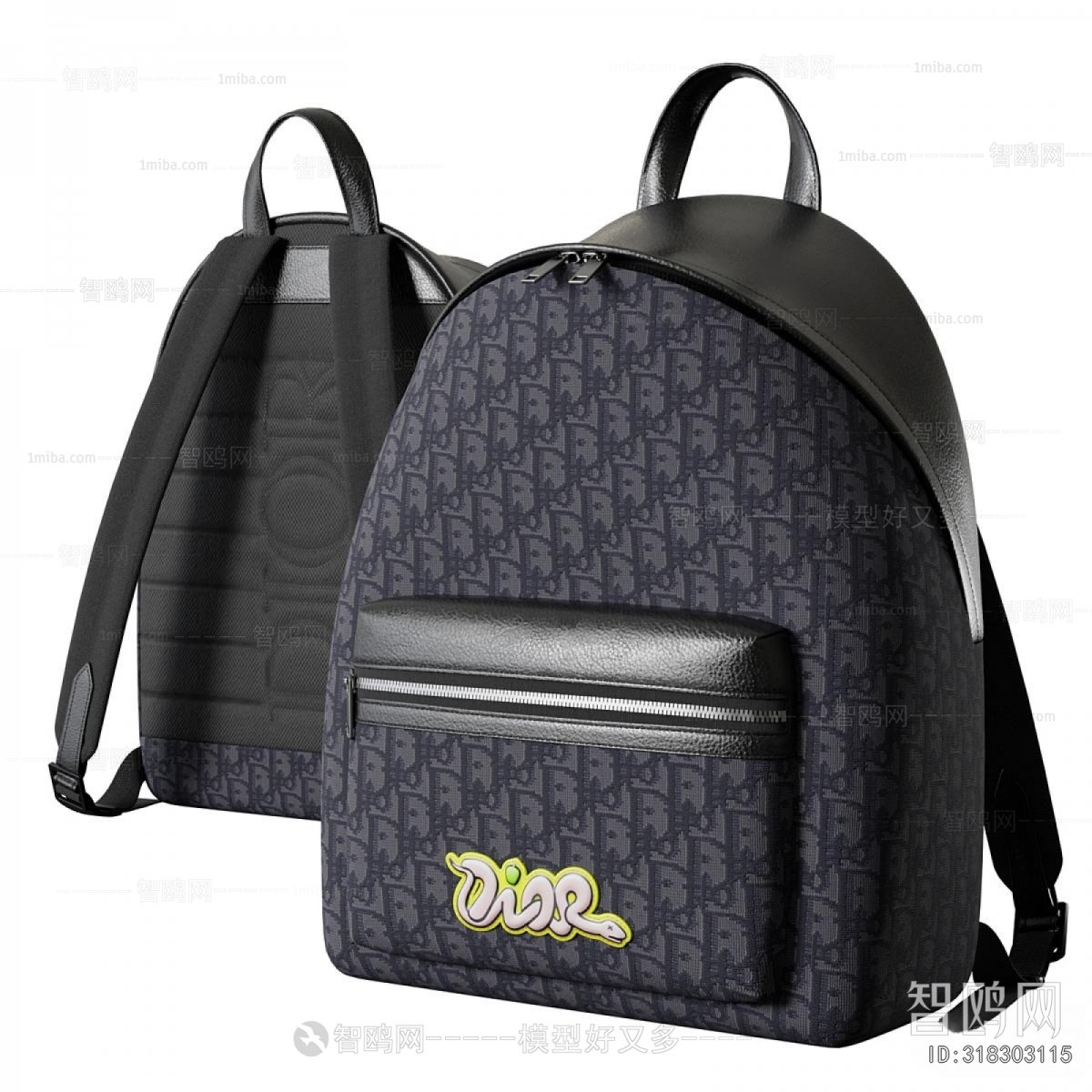 Modern Backpack And Backpack