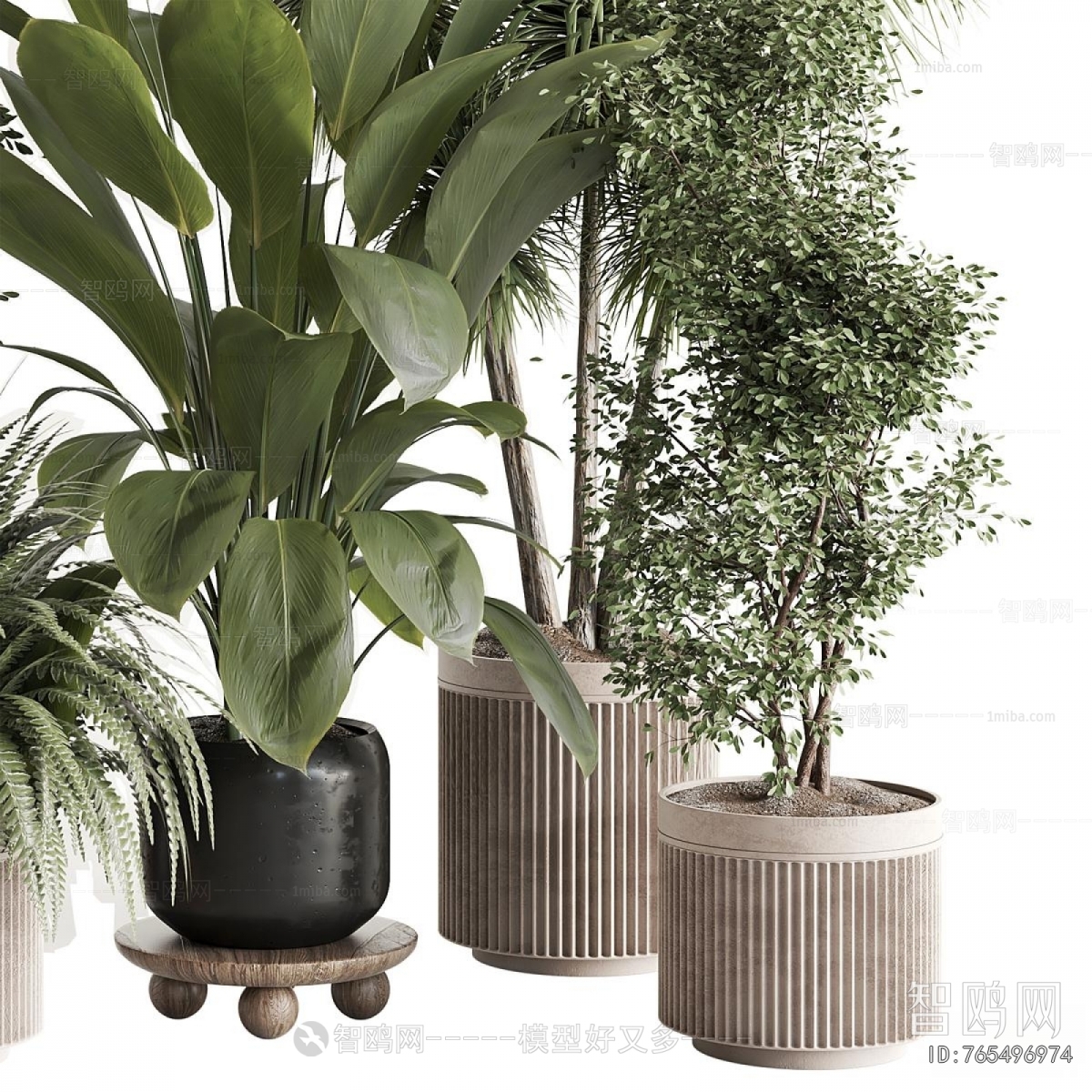 Modern Ground Green Plant Potted Plants