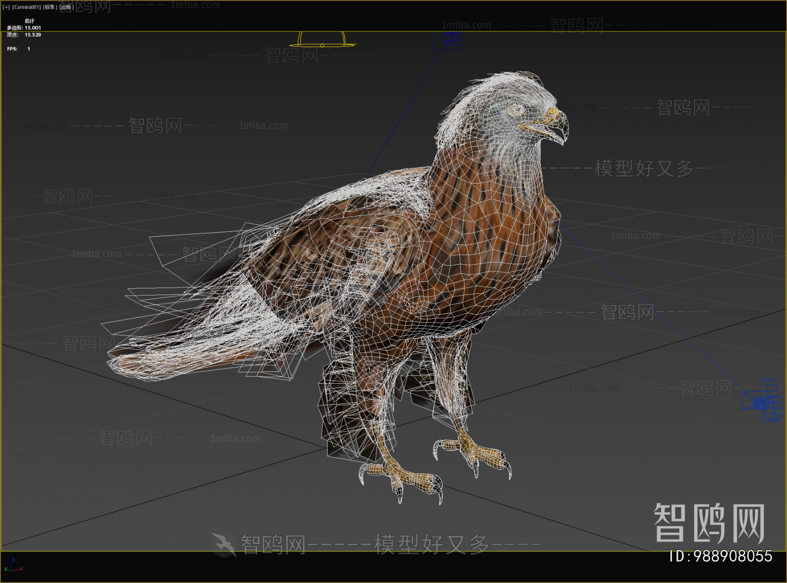 Modern Flying Animals