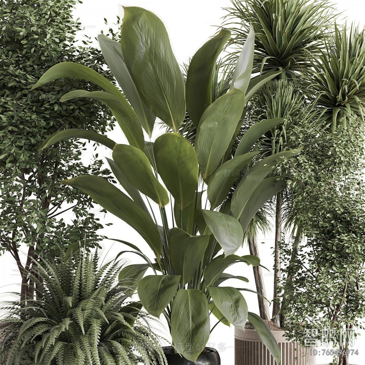Modern Ground Green Plant Potted Plants