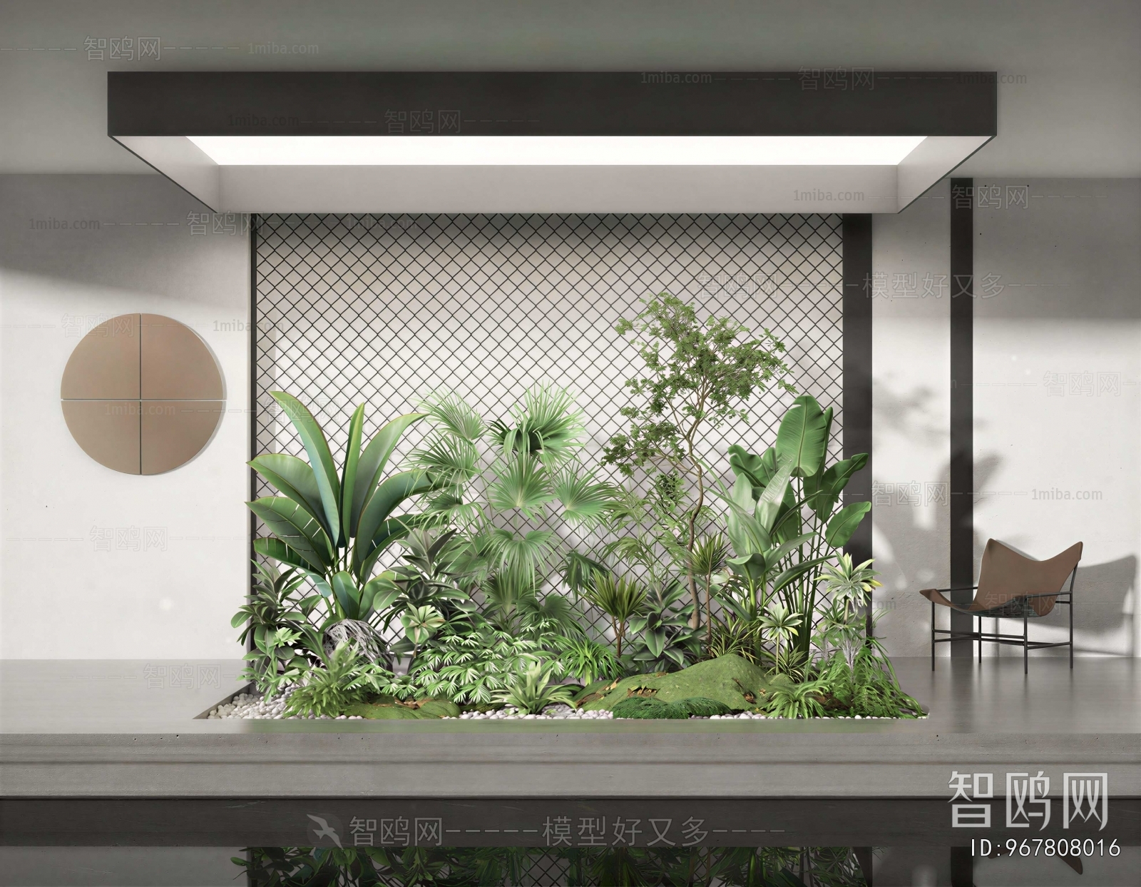 Modern Plant Landscaping