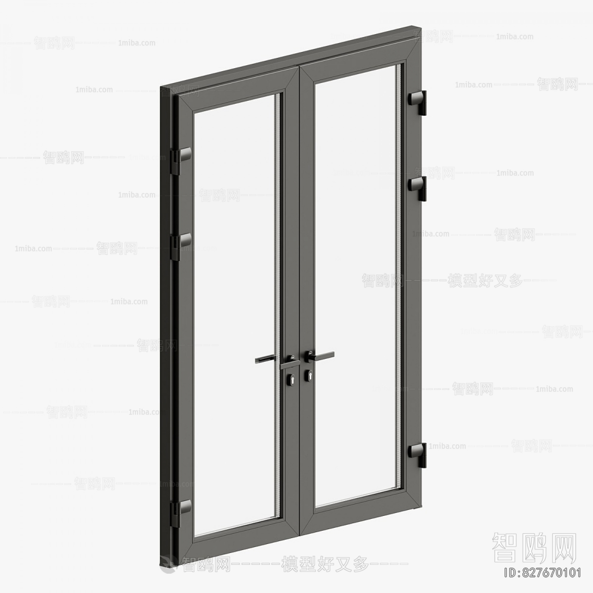 Modern Door
