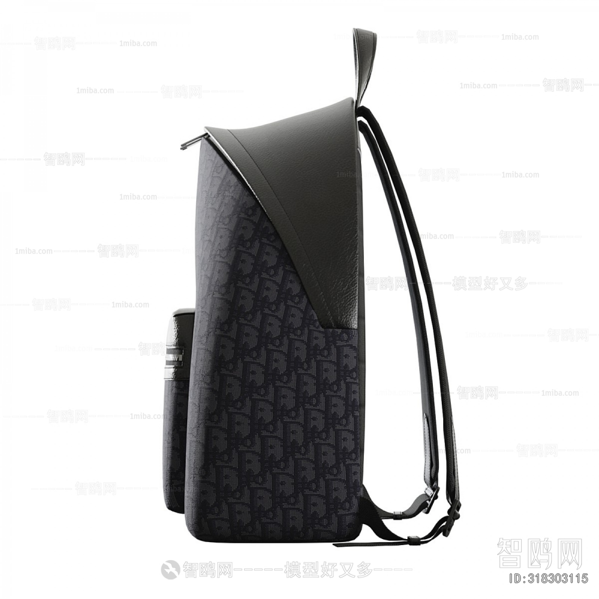 Modern Backpack And Backpack