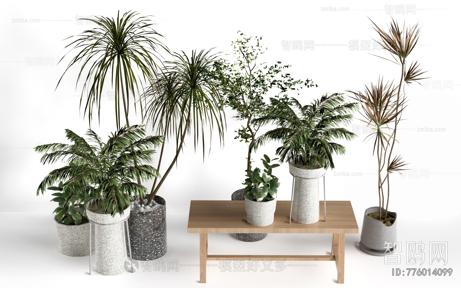 Modern Ground Green Plant Potted Plants