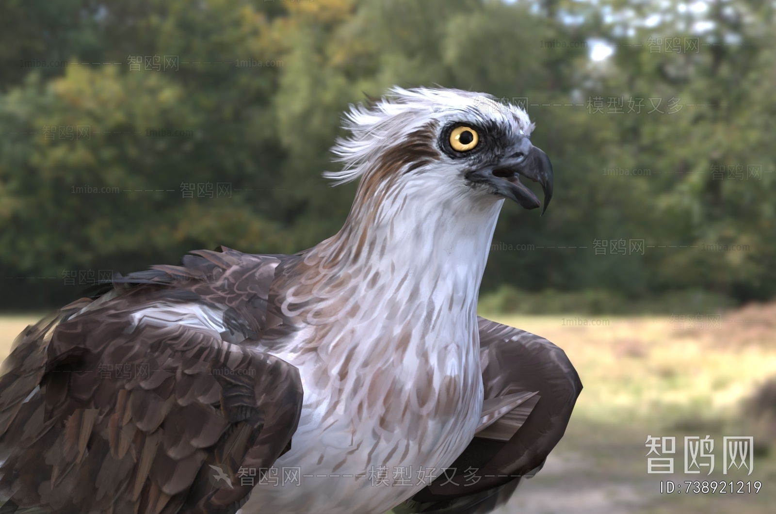 Modern Flying Animals