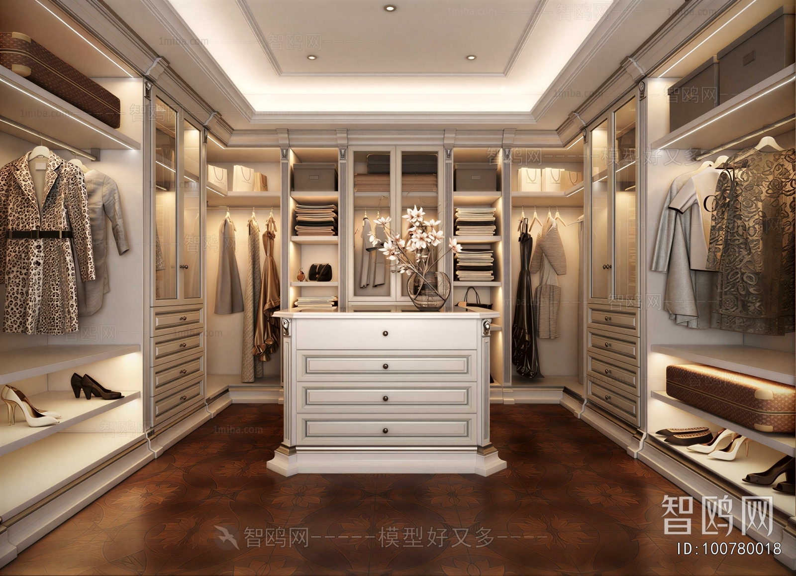 European Style Clothes Storage Area