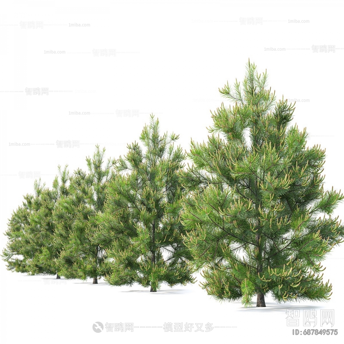Modern Tree