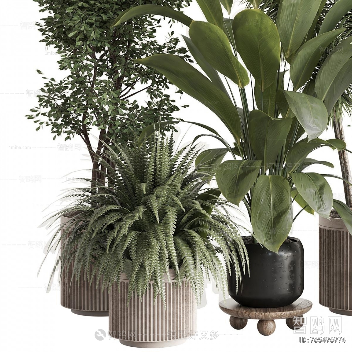 Modern Ground Green Plant Potted Plants
