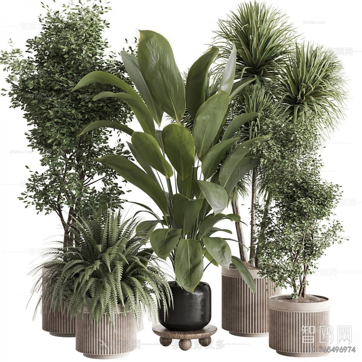 Modern Ground Green Plant Potted Plants