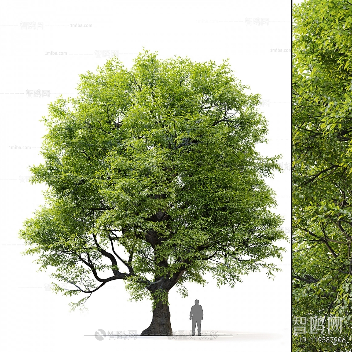 Modern Tree