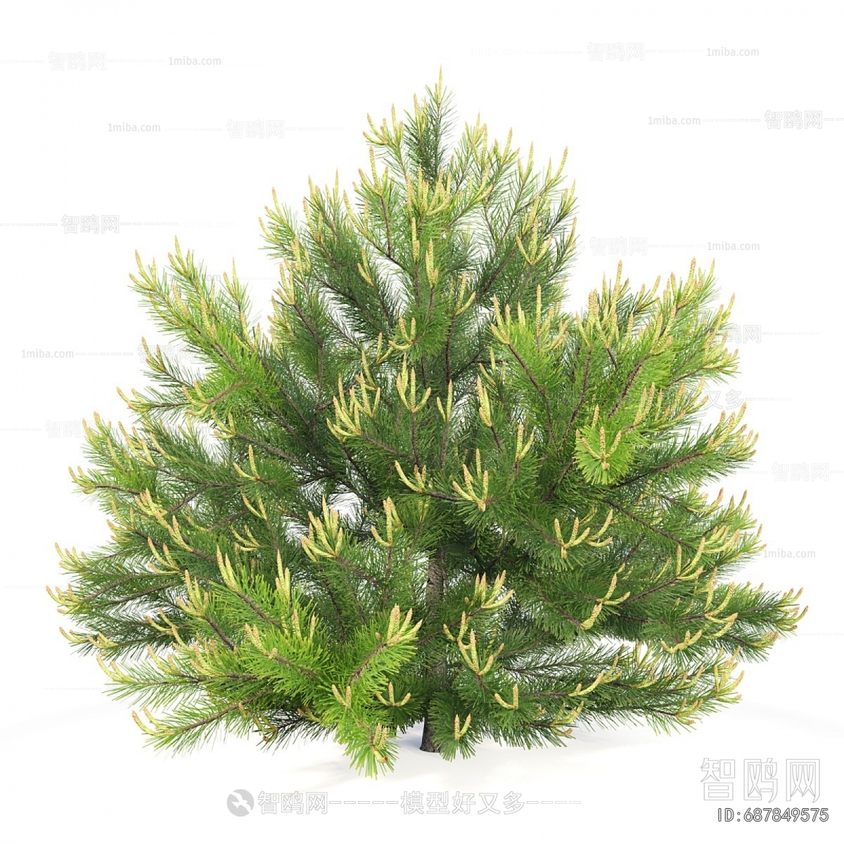 Modern Tree