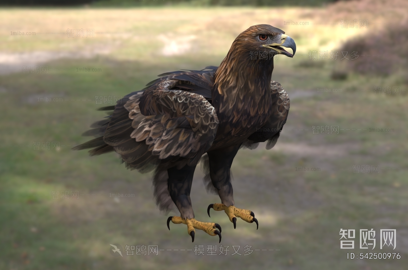 Modern Flying Animals