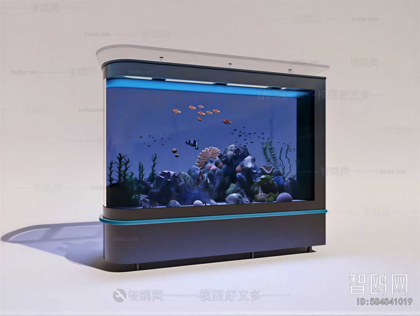Modern Fish Tank