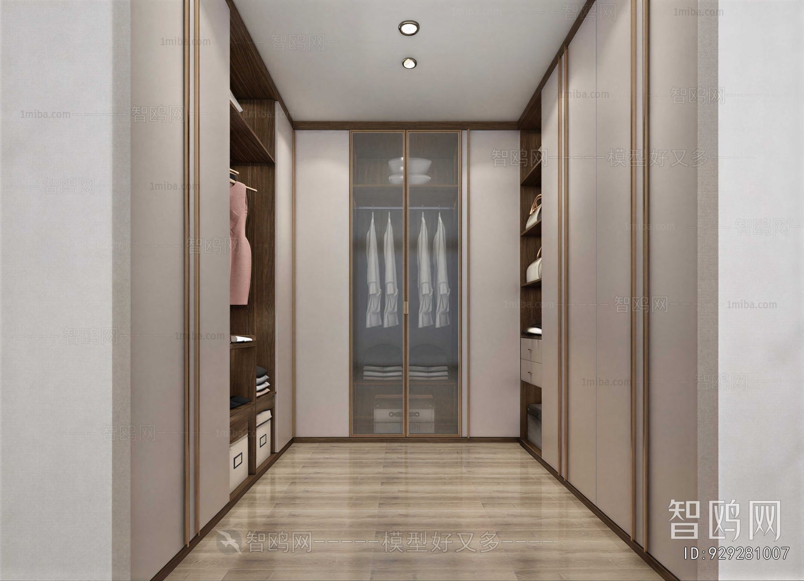 Modern Clothes Storage Area