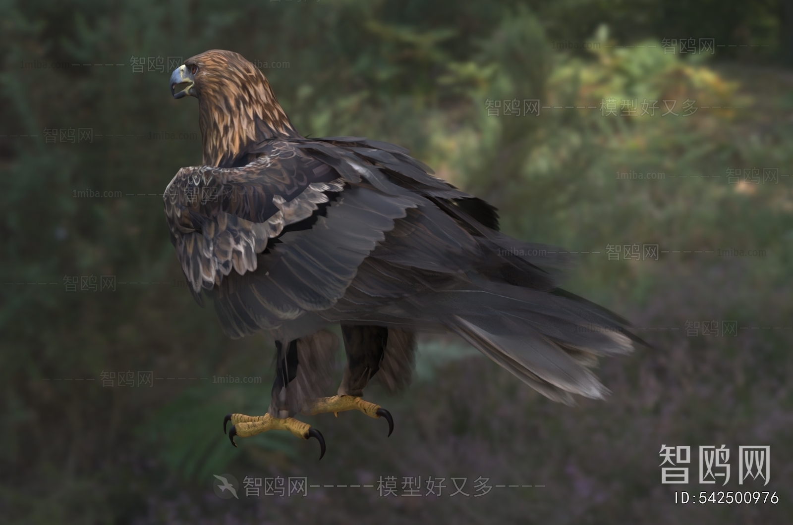 Modern Flying Animals