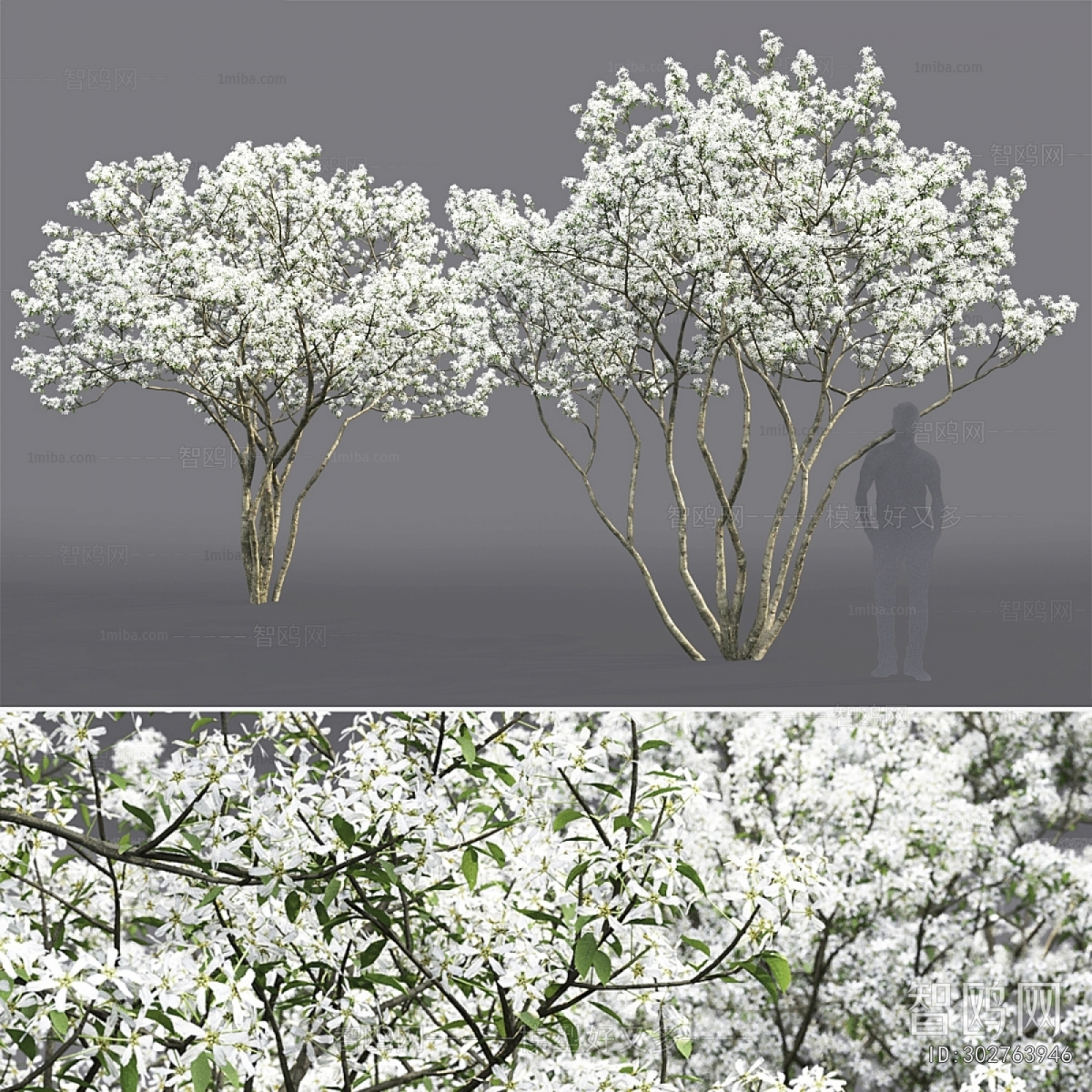 Modern Tree