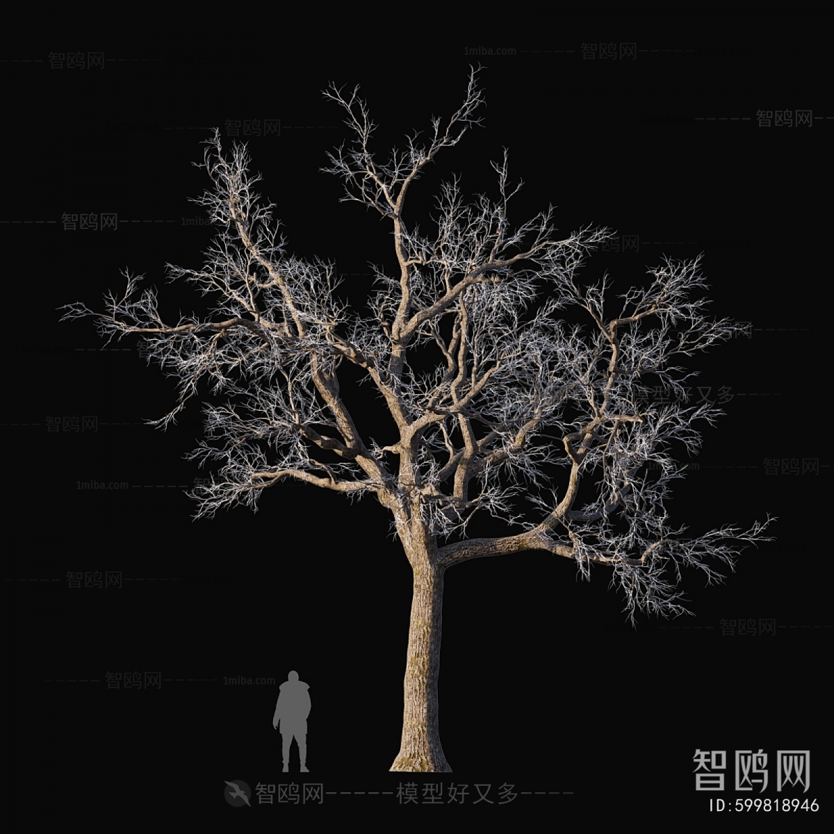 Modern Tree