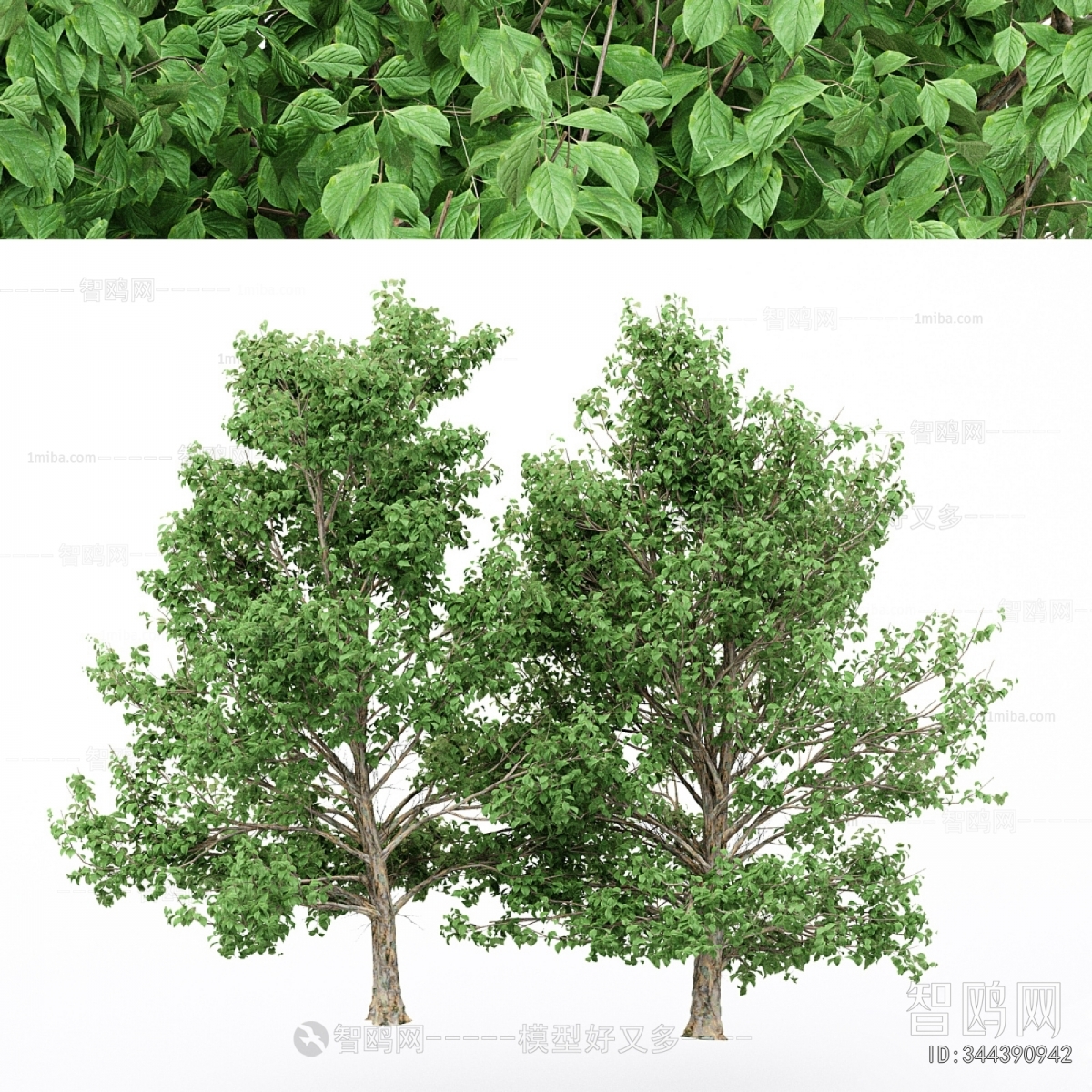 Modern Tree