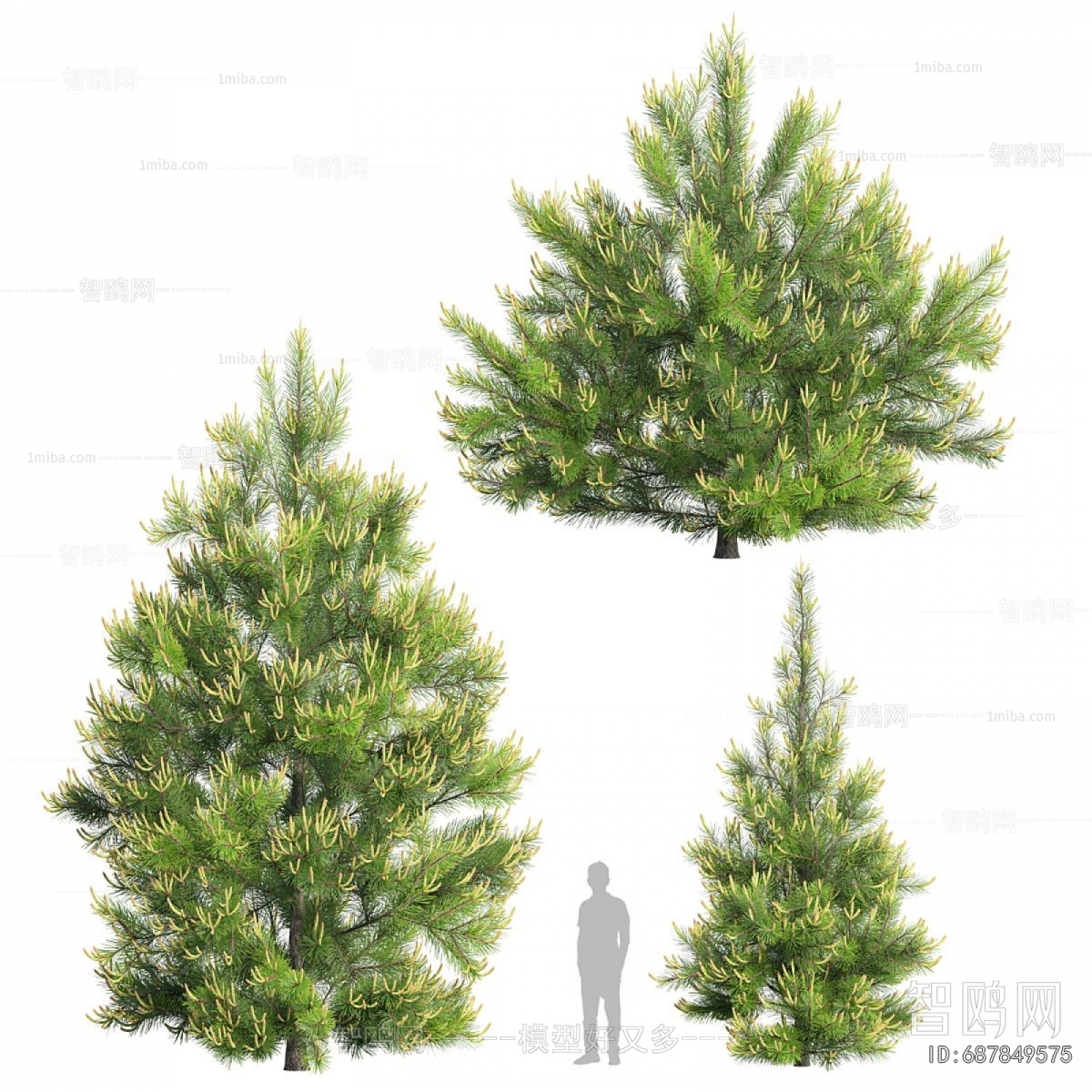 Modern Tree