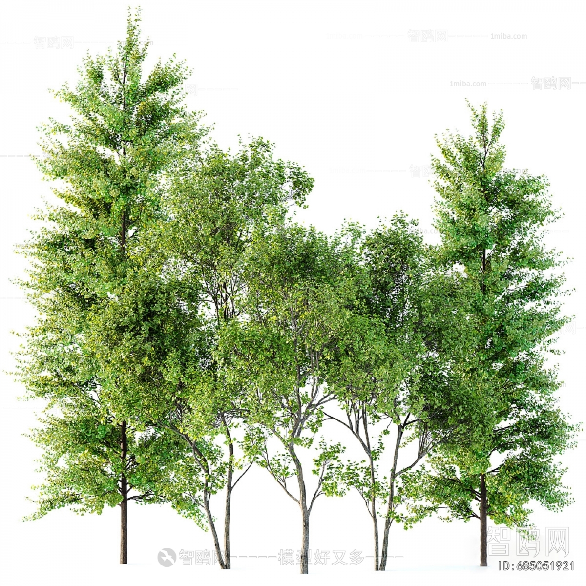 Modern Tree