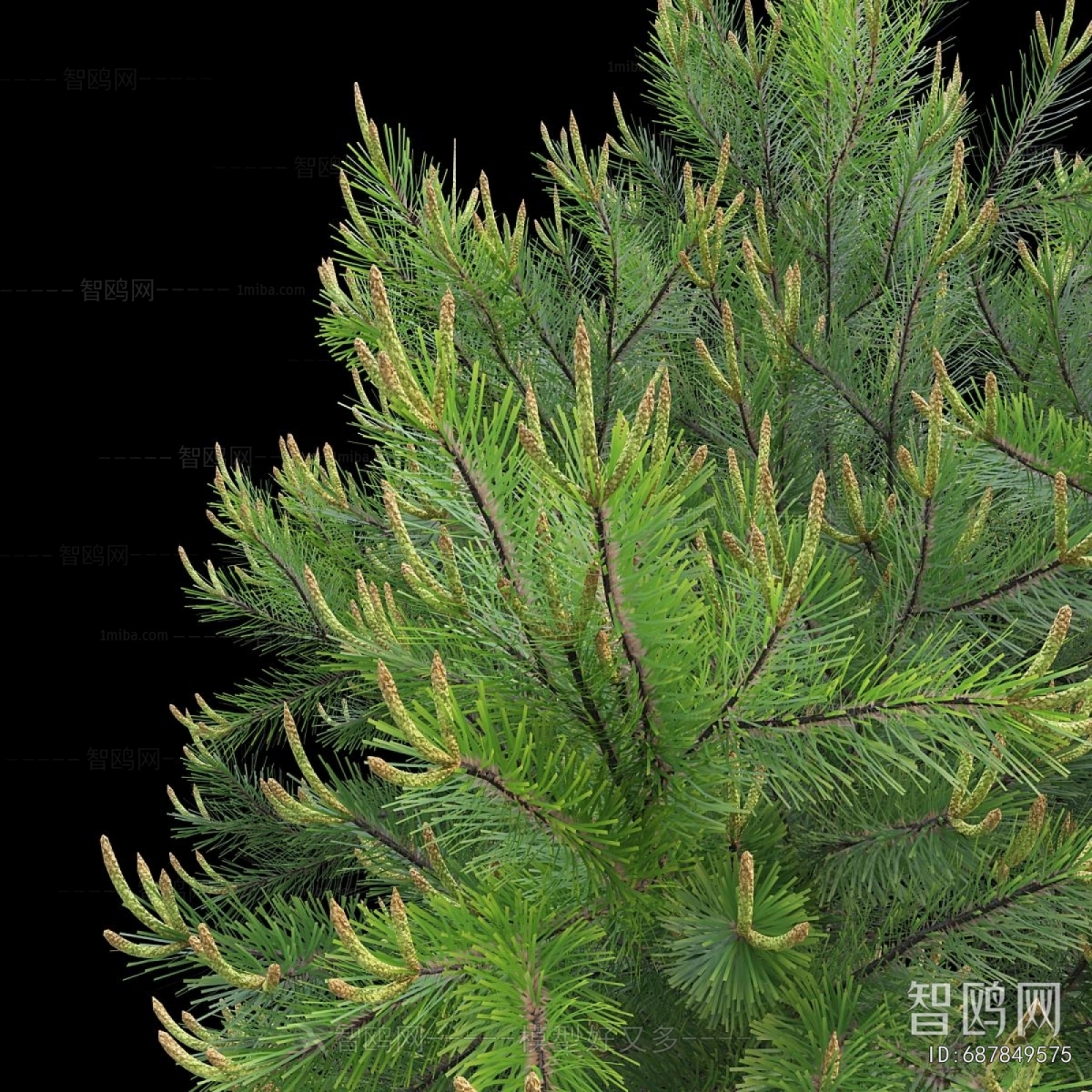 Modern Tree