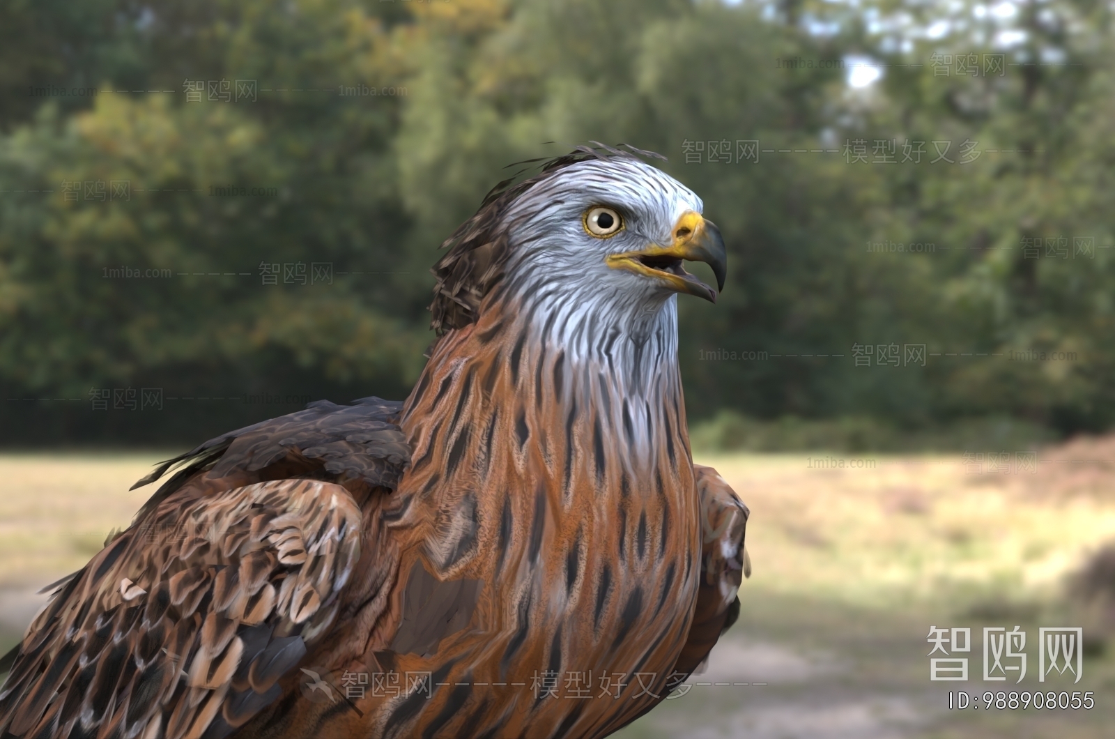 Modern Flying Animals