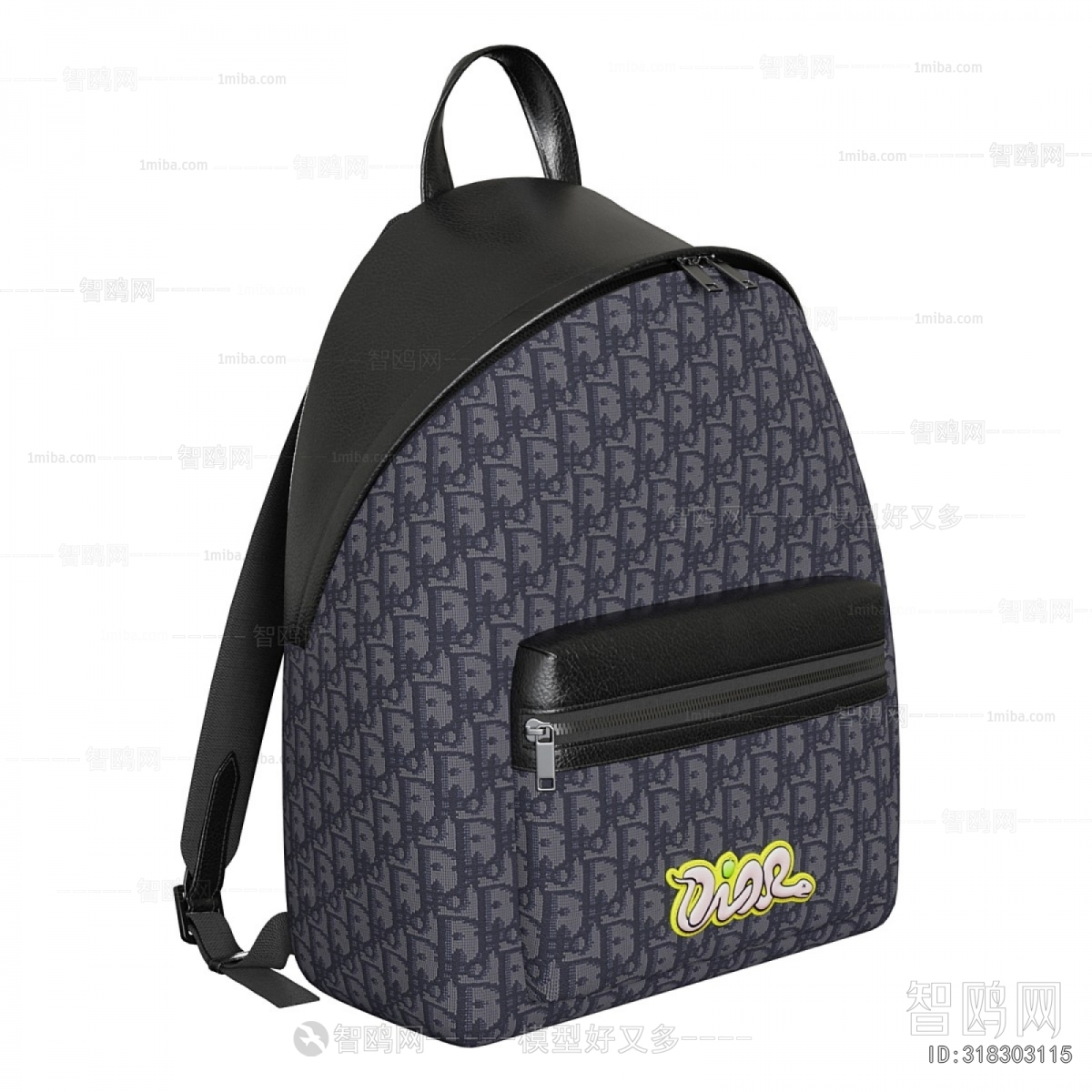 Modern Backpack And Backpack