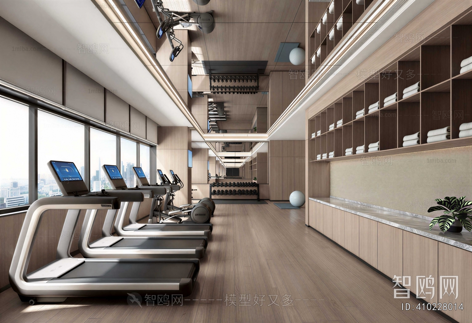 Modern Gym