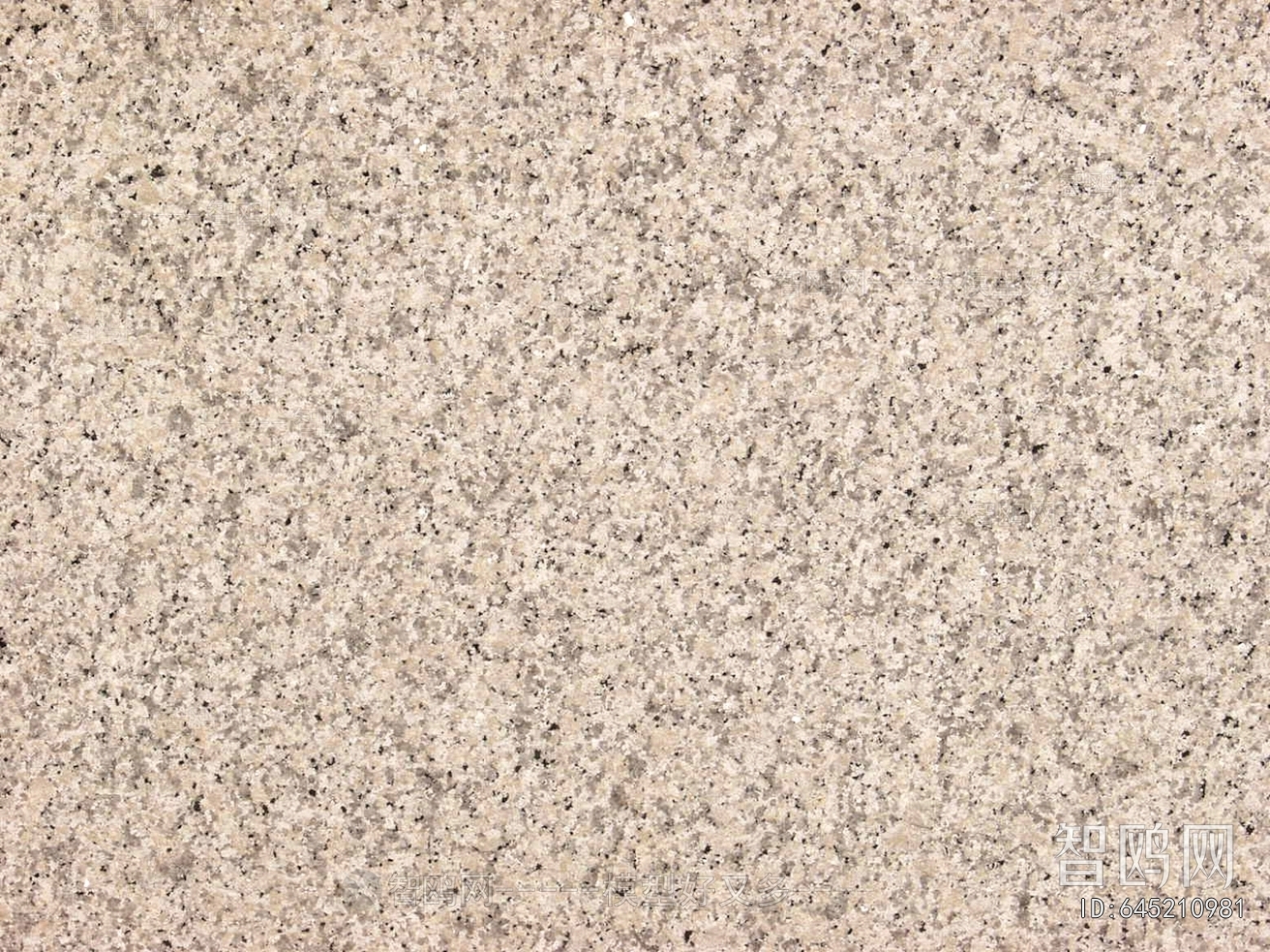 Stone Brick Wall