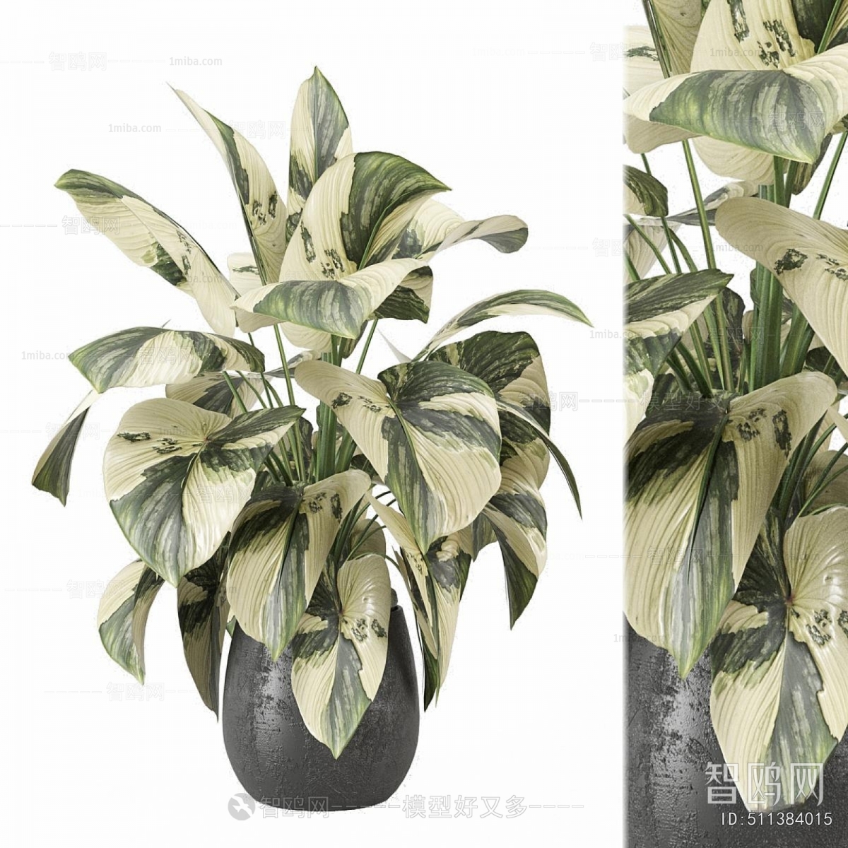 Modern Ground Green Plant Potted Plants