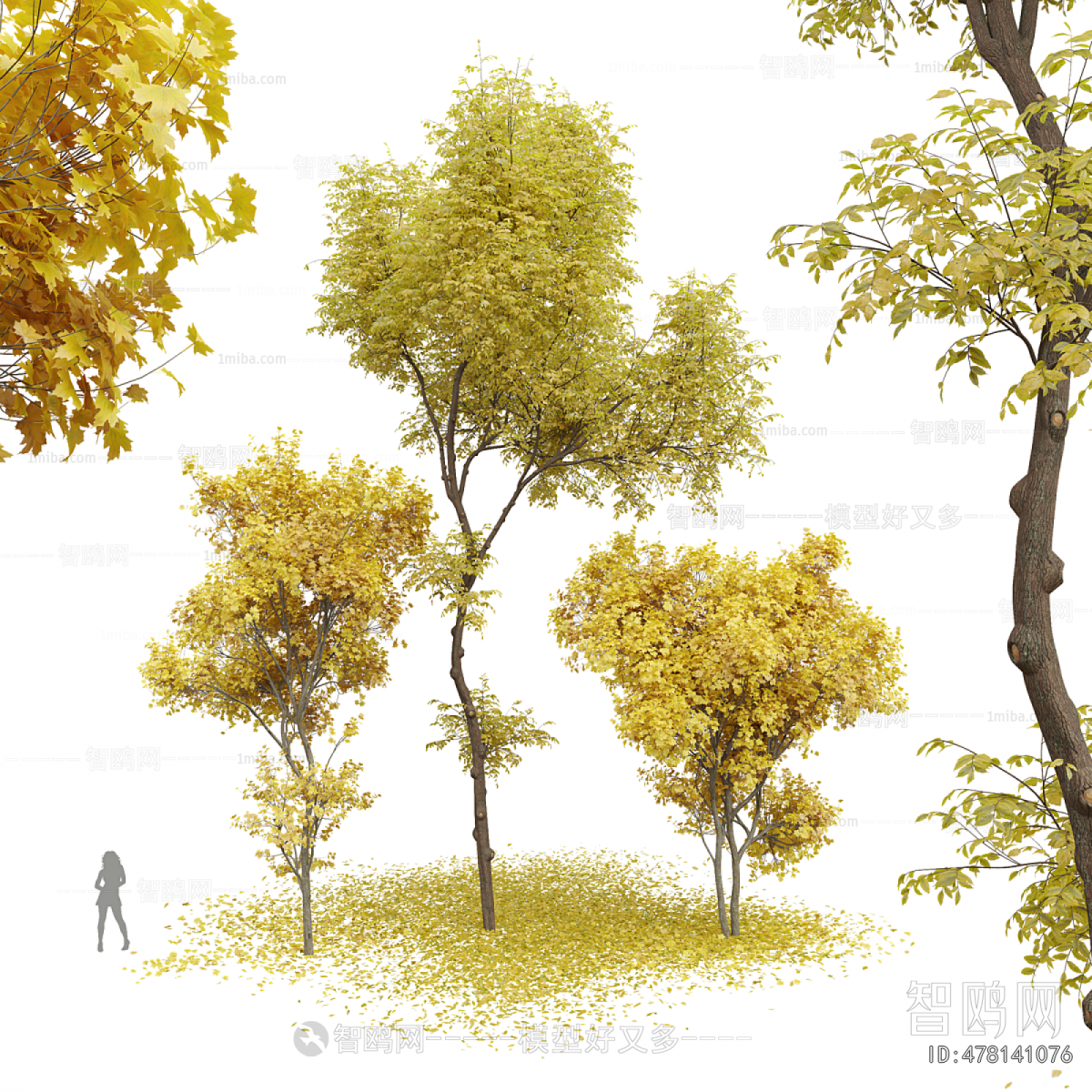 Modern Tree