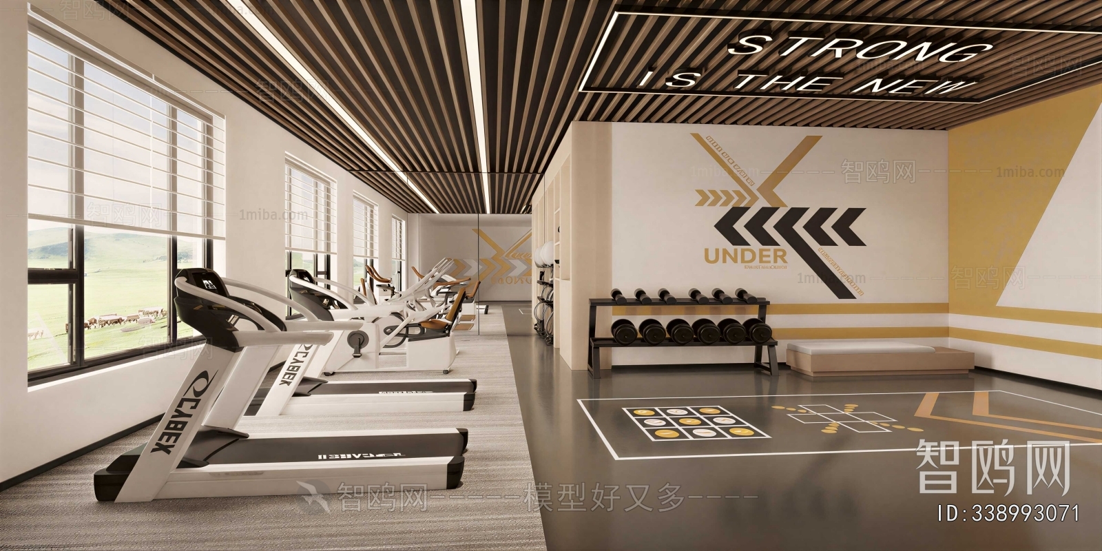 Modern Gym