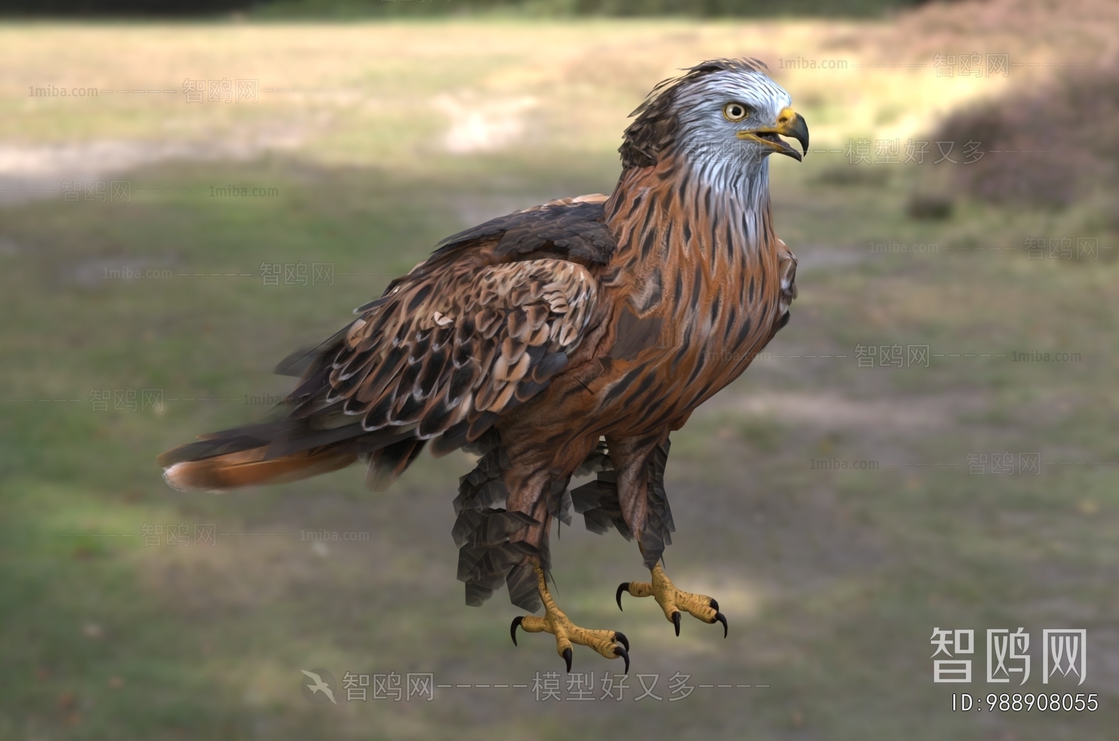 Modern Flying Animals