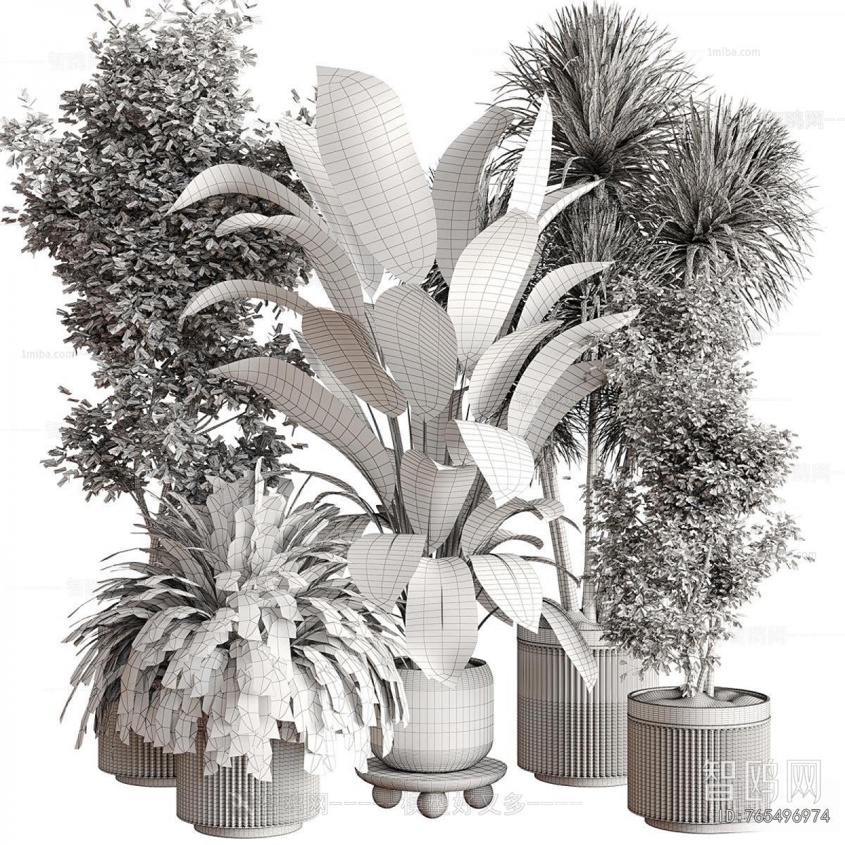 Modern Ground Green Plant Potted Plants