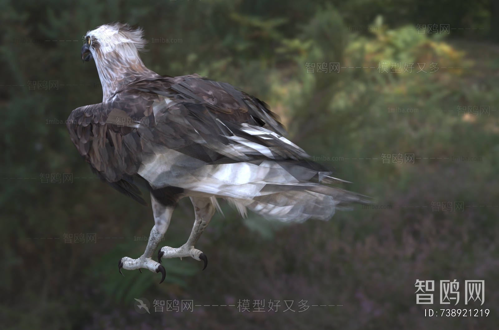 Modern Flying Animals