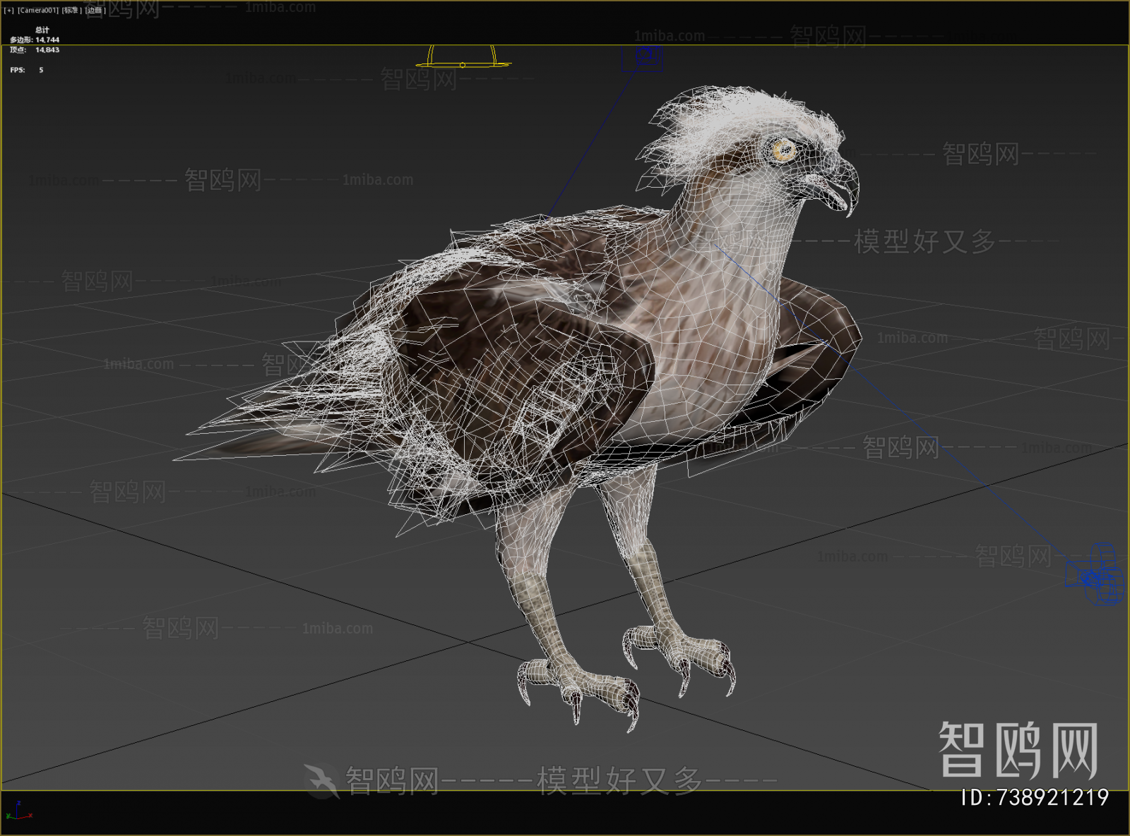 Modern Flying Animals